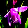 JPG 646x480 89.2kb