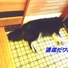 JPG 500x282 60.6kb