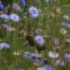 JPG 640x492 116.2kb