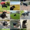 JPG 479x718 179.3kb