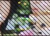 JPG 162x72 9.6kb