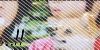 JPG 160x50 5.8kb