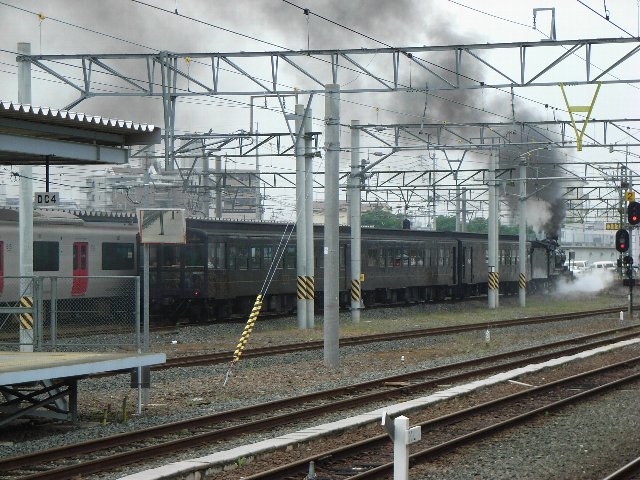  778.jpg