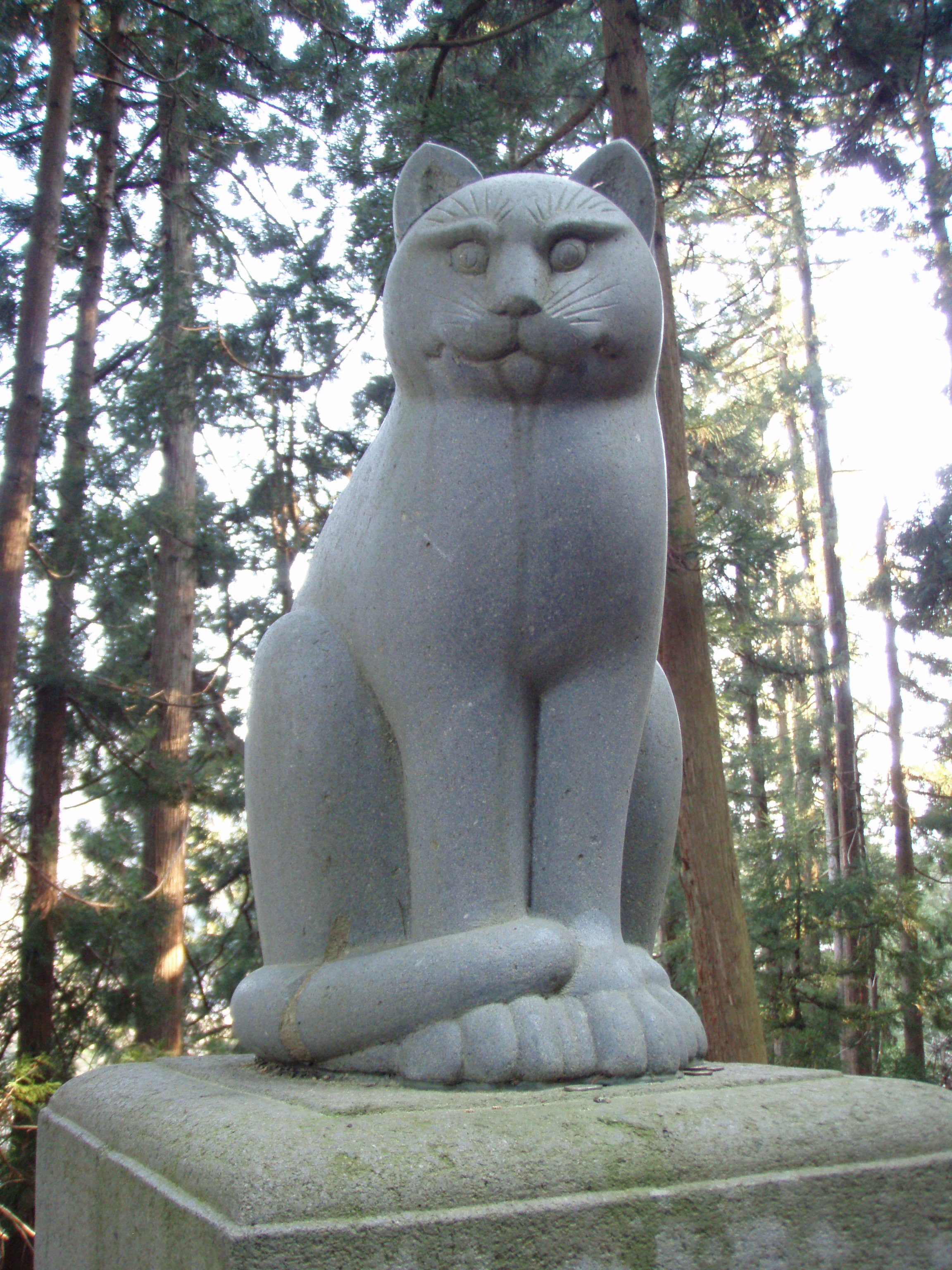  106.jpg