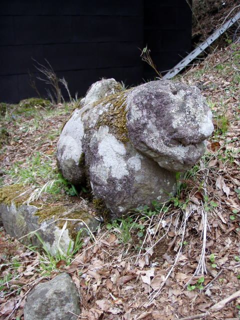  116.jpg