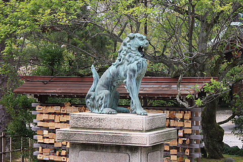  117.jpg