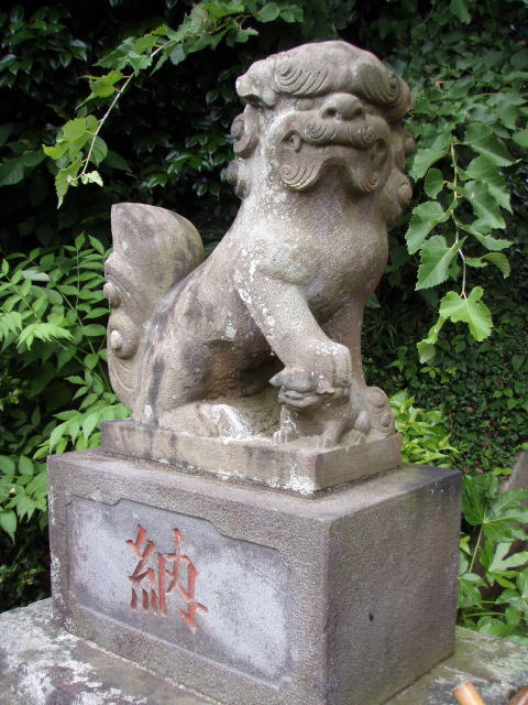  131.jpg