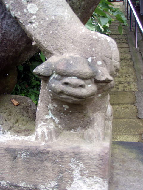  132.jpg