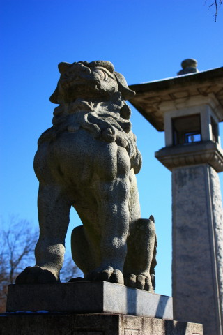  149.jpg