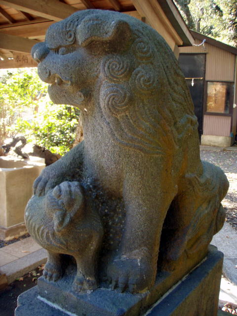  150.jpg