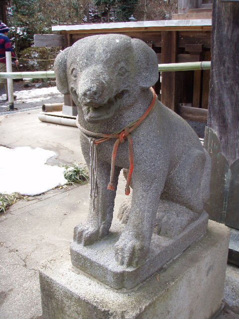  160.jpg