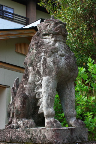  165.jpg