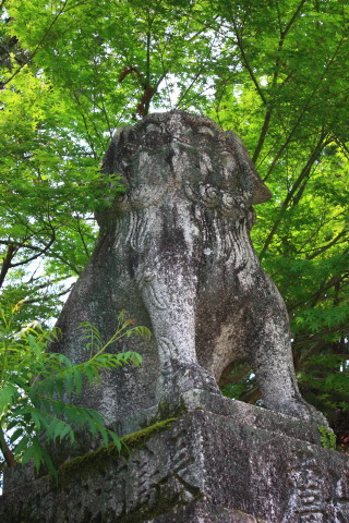  170.jpg