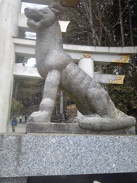  182.jpg