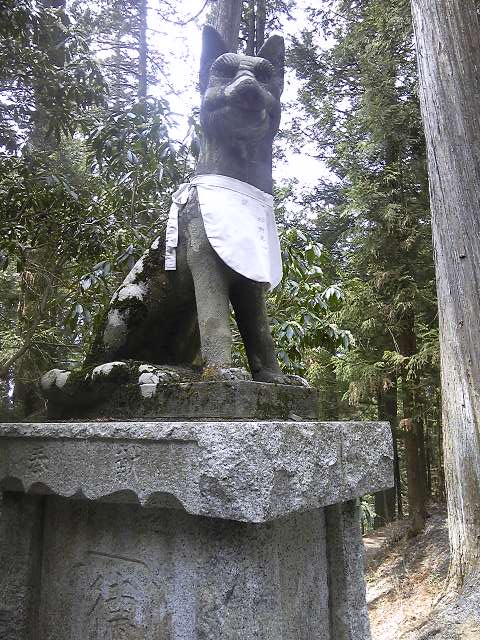  189.jpg
