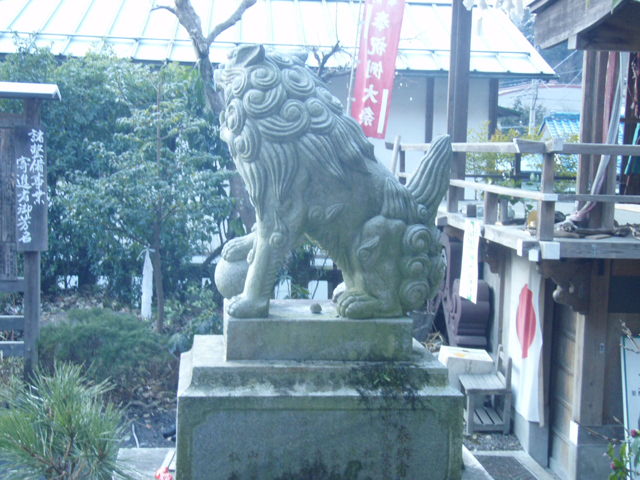  77.jpg
