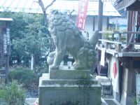 JPG 640x480 91.3kb