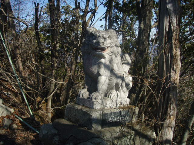  85.jpg