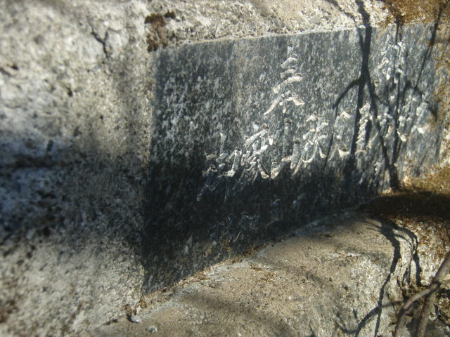  87.jpg
