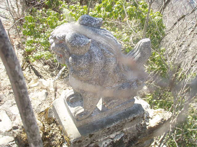  89.jpg