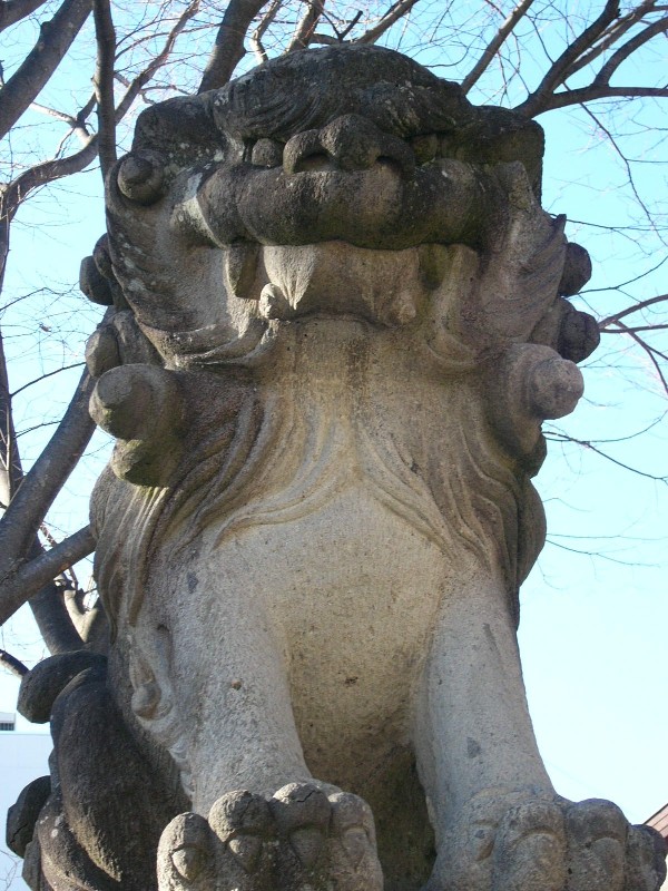  98.jpg