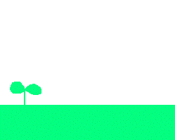  15.gif