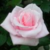 JPG 200x200 45.2kb