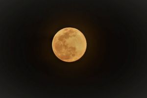 JPG 627x417 11.0kb