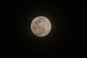 JPG 627x417 9.1kb