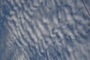 JPG 627x418 27.4kb