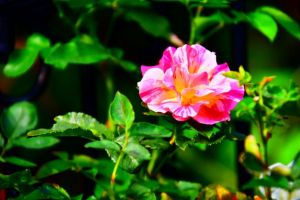JPG 627x418 44.6kb