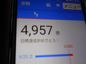 JPG 640x479 45.3kb