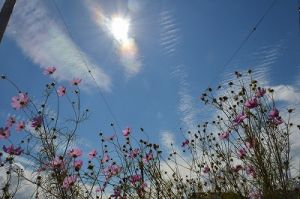 JPG 400x265 46.8kb