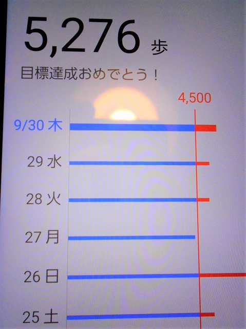  8525.jpg