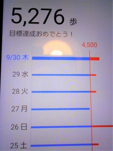 JPG 479x640 74.2kb