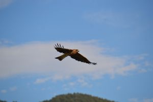 JPG 400x265 47.7kb