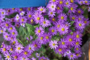 JPG 400x266 55.5kb