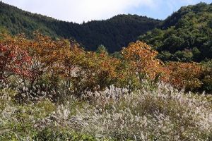 JPG 400x266 47.8kb