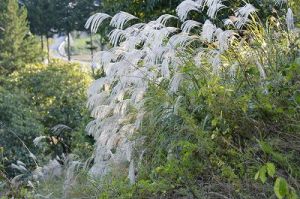JPG 400x265 46.7kb