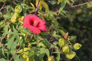 JPG 400x265 45.9kb