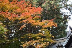 JPG 400x265 47.6kb