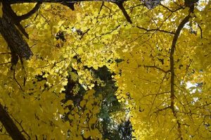 JPG 400x265 48.0kb