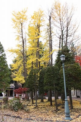  8632.jpg