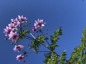 JPG 640x480 91.9kb