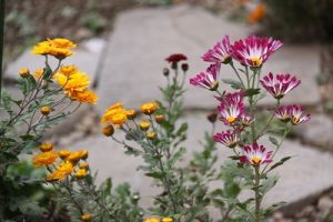 JPG 400x266 45.7kb