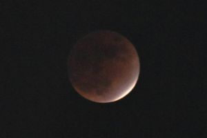 JPG 626x418 19.9kb