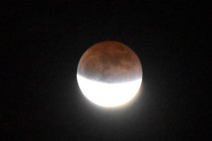 JPG 626x418 20.7kb