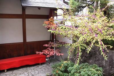  8673.jpg