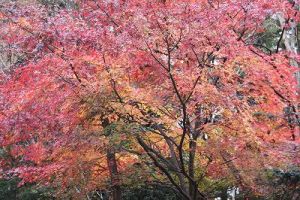 JPG 400x266 47.9kb