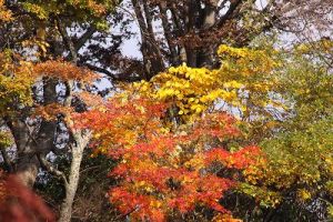 JPG 400x266 47.6kb